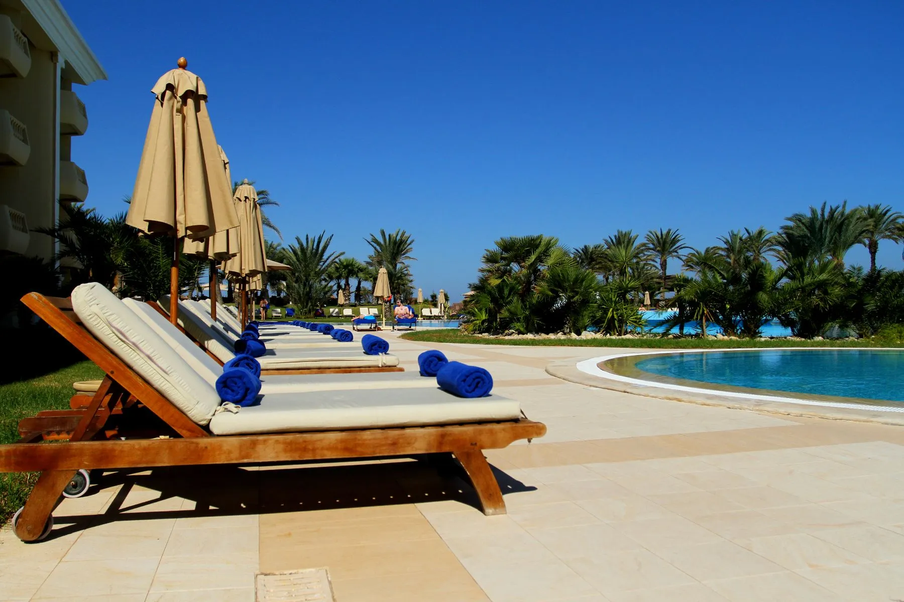Reposeras y sombrillas junto a la piscina del hotel, con palmeras y cielo despejado