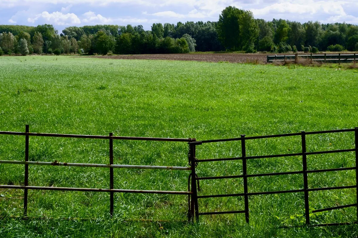 Terreno verde con pasto y cerco de alambre