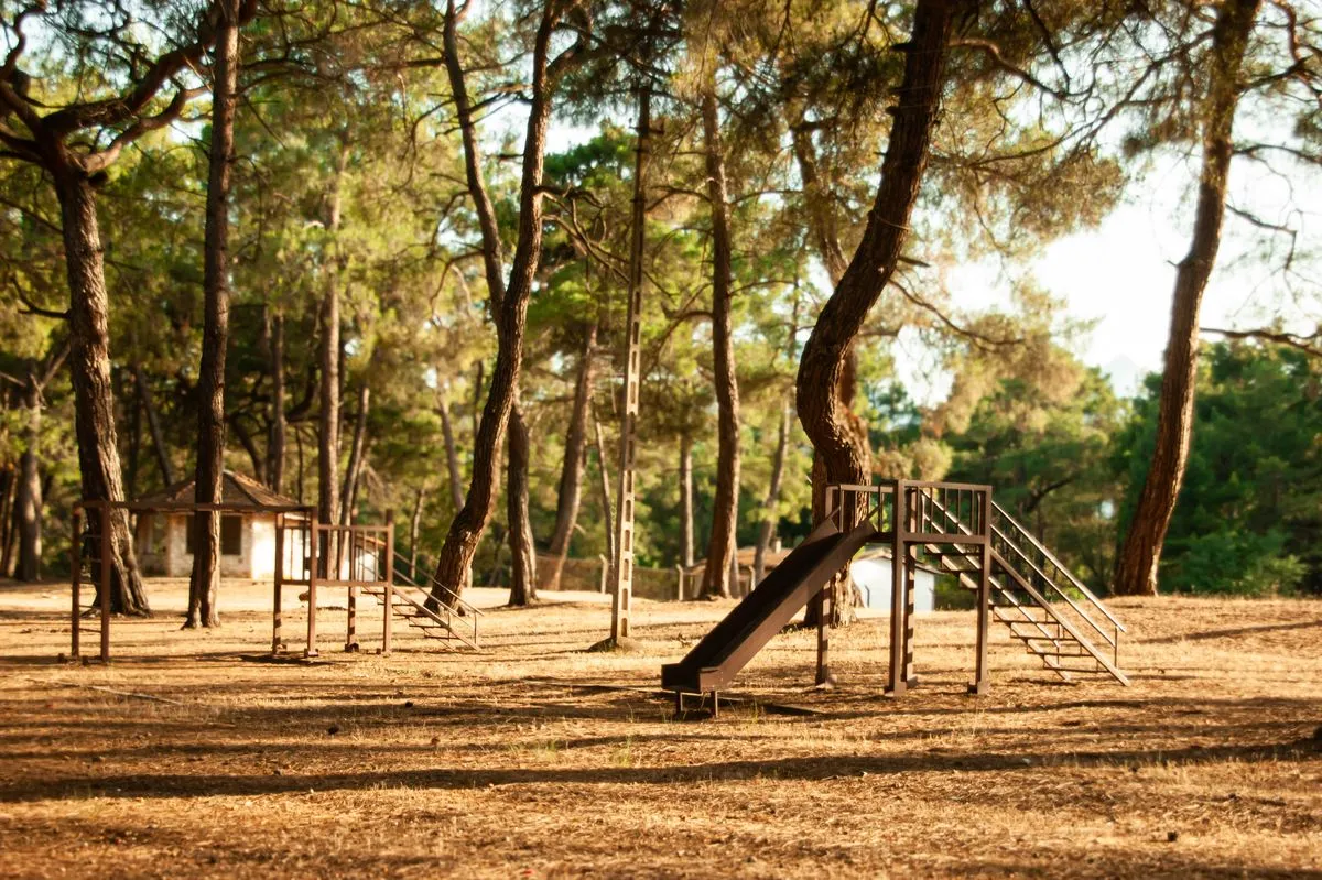 Juegos infantiles entre árboles bajo la luz de la tarde